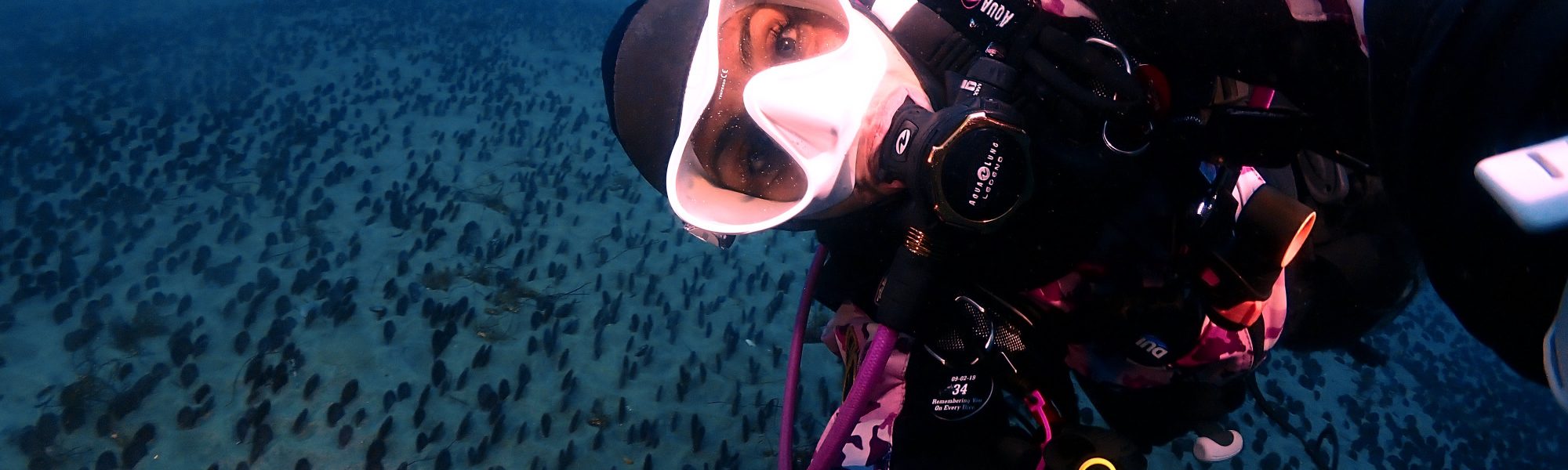 Diving La Jolla Shores with PADI AmbassaDiver Rocio Bunker