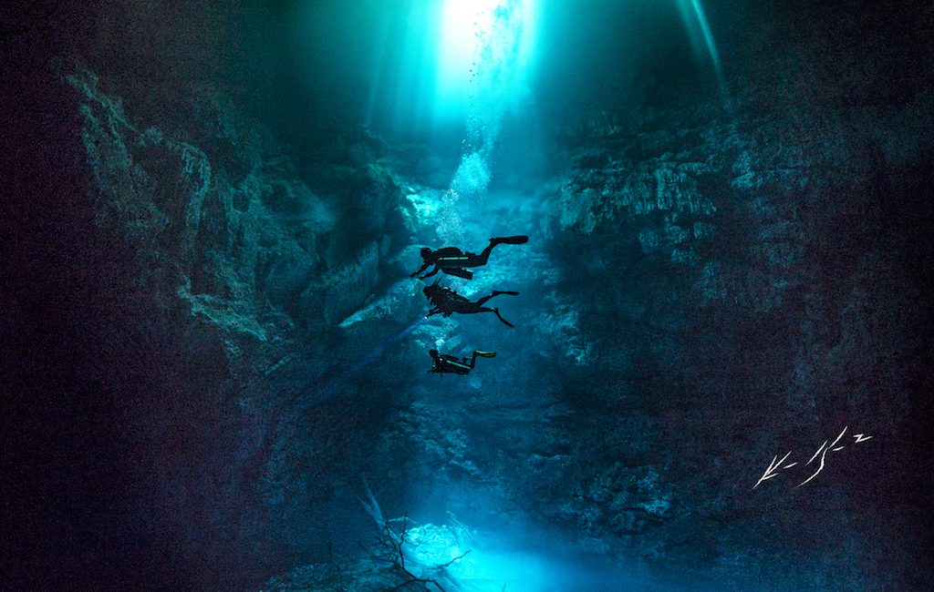 Introducing the New 2020 PADI AmbassaDivers