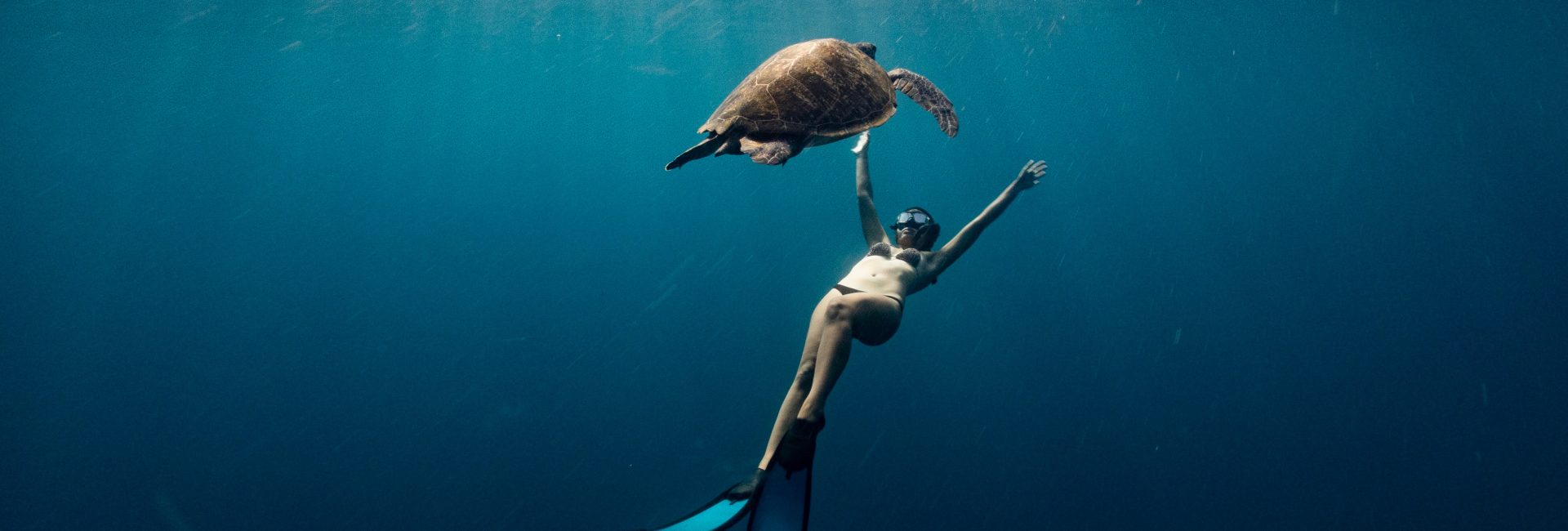 PADI Freediver Instructors Living the Dream in Thailand