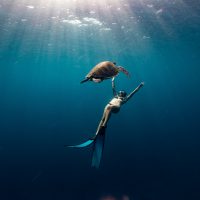 Freediving - Thailand - Ploy - Turtle
