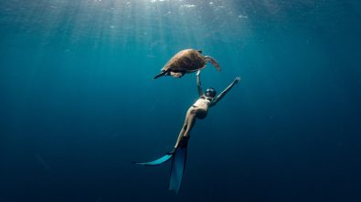 Freediving - Thailand - Ploy - Turtle