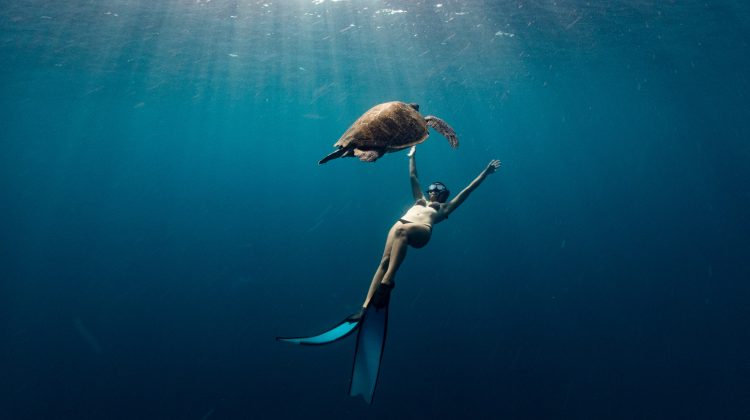 Freediving - Thailand - Ploy - Turtle
