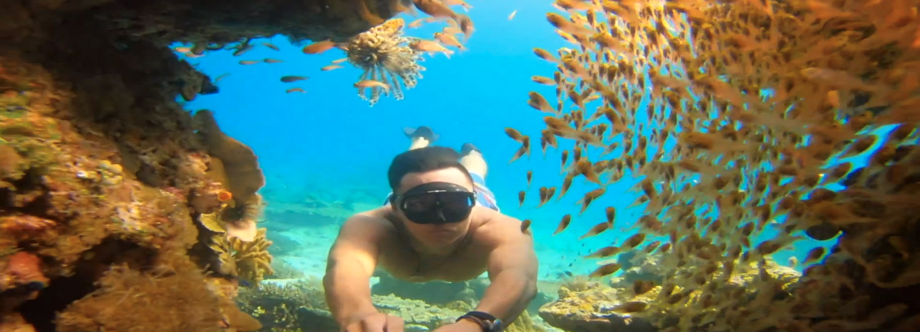 PADI x GoPro Evolution Contest Winners