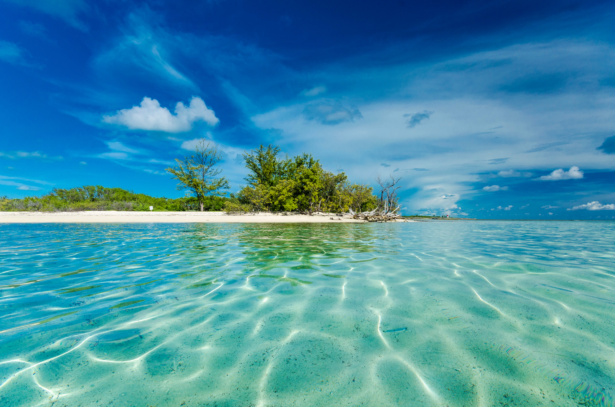 diving bimini the bahamas