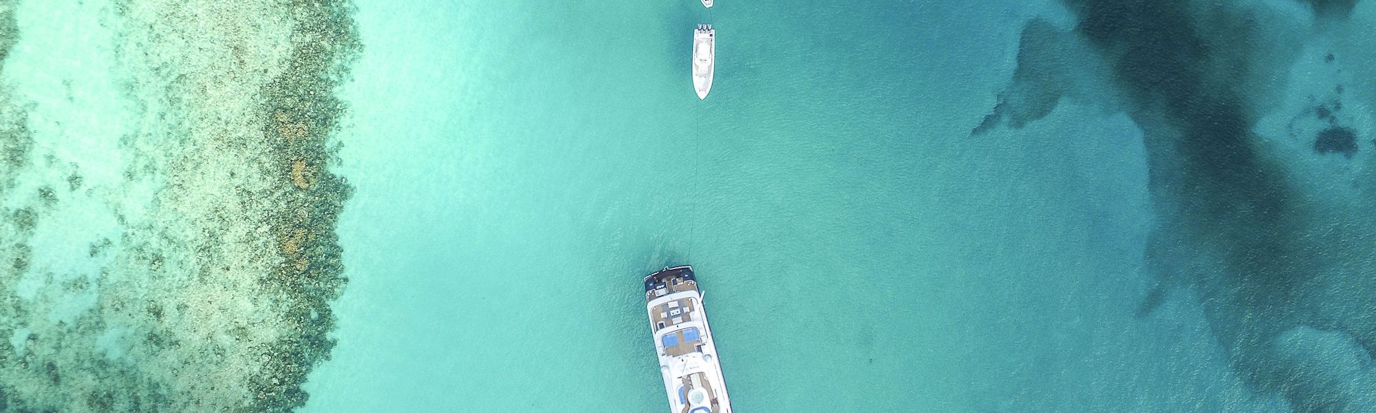 QFP sur les croisières : les réponses à toutes vos questions sur les croisières plongées