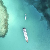 diving the bahamas