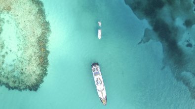 diving the bahamas