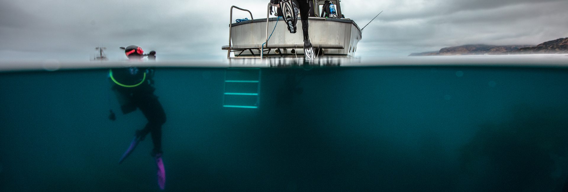 What Is a PADI Open Water Diver Referral?