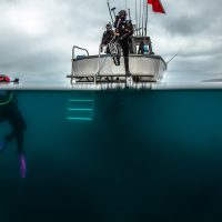 PADI Open Water Referral