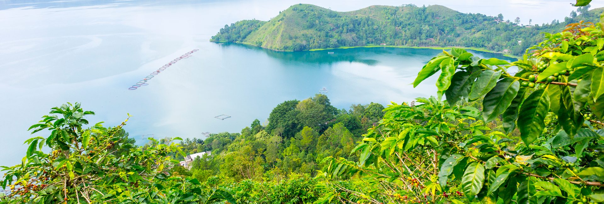 Diving the Best Sites in Sumatra, Indonesia