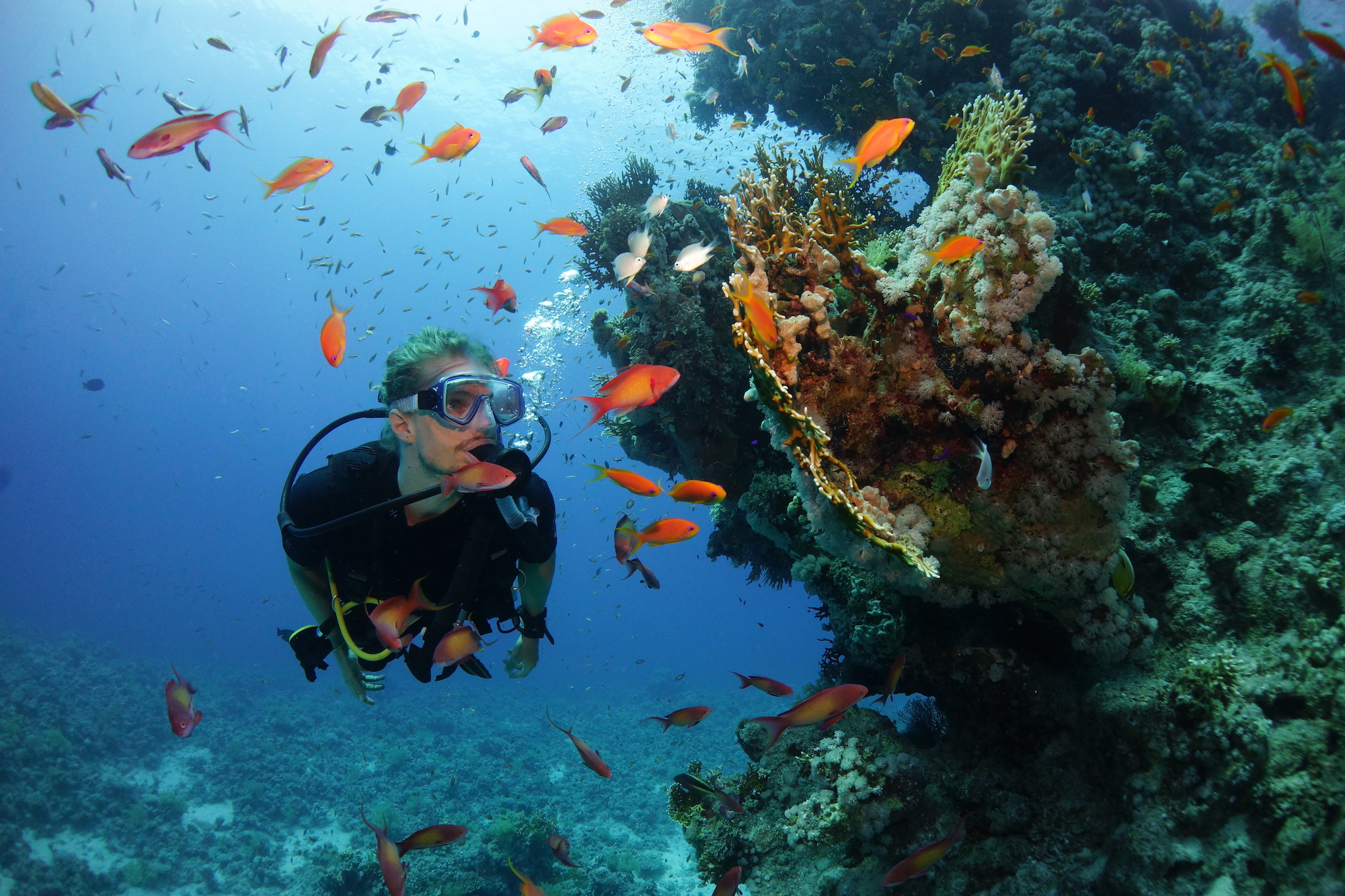 The 8 Best Places to Learn to Scuba Dive in 2020