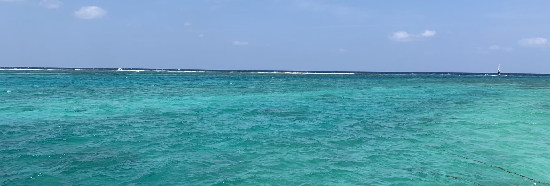 Department of Environment and Forest Union Territory of Lakshadweep, India Creating Sustainable Employment During Lockdown