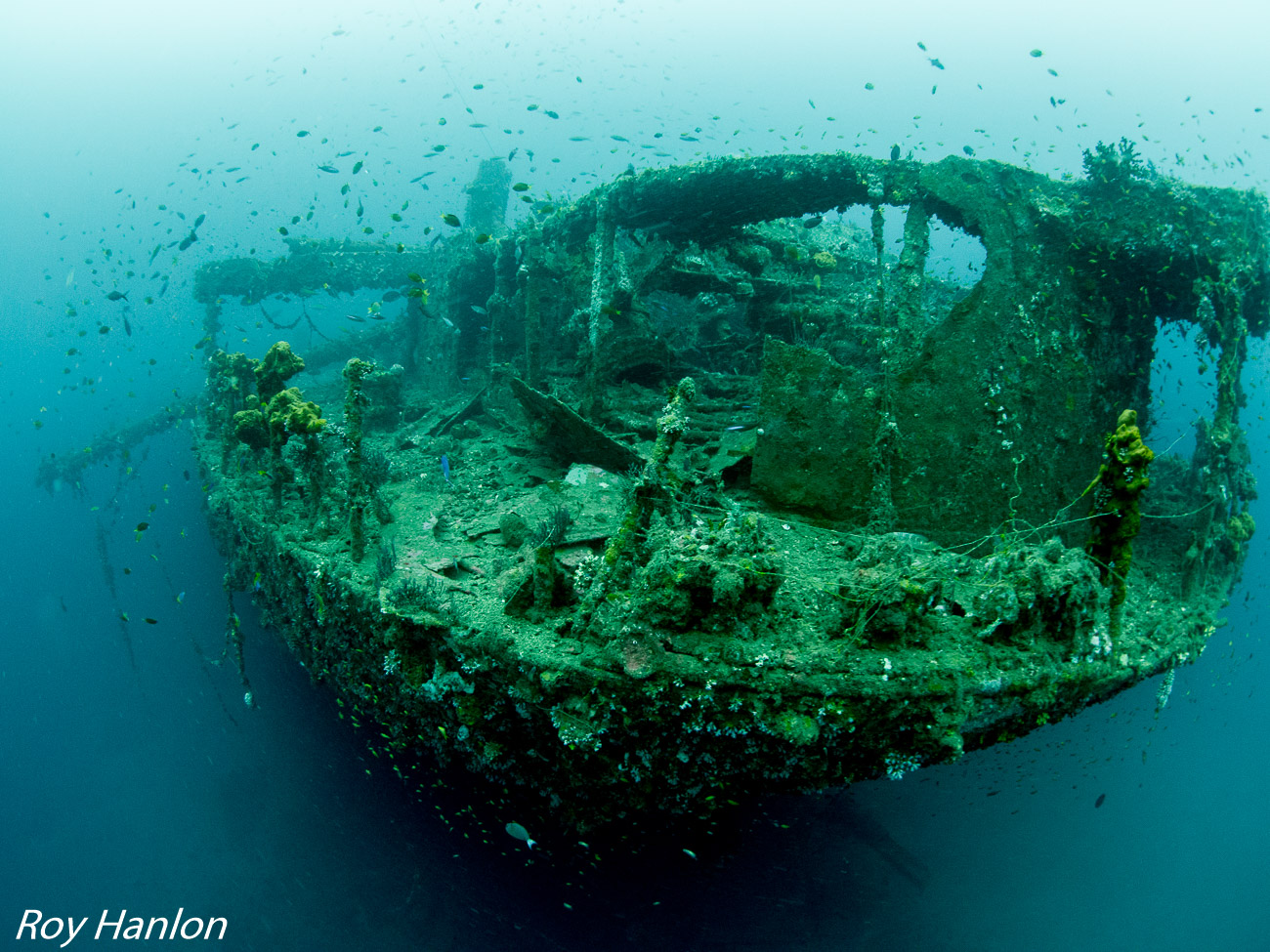 Sumatra - Indonesia - wreck - underwater