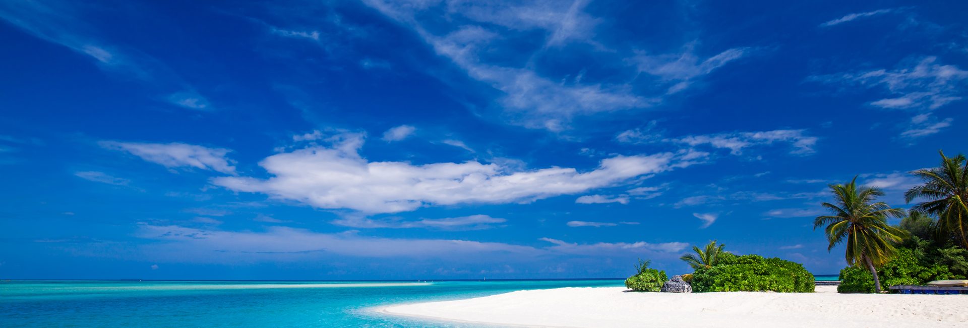 Need a Digital Detox? Book a Scuba Diving Liveaboard