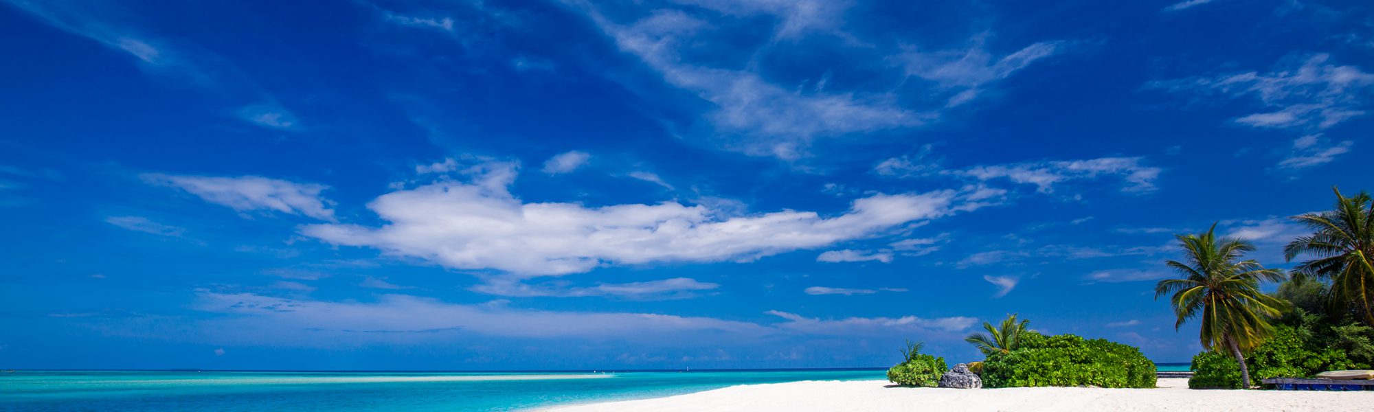 Need a Digital Detox? Book a Scuba Diving Liveaboard