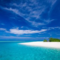 Freedive Maldives header