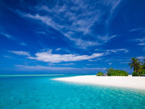 Freedive Maldives header