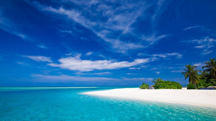 Freedive Maldives header