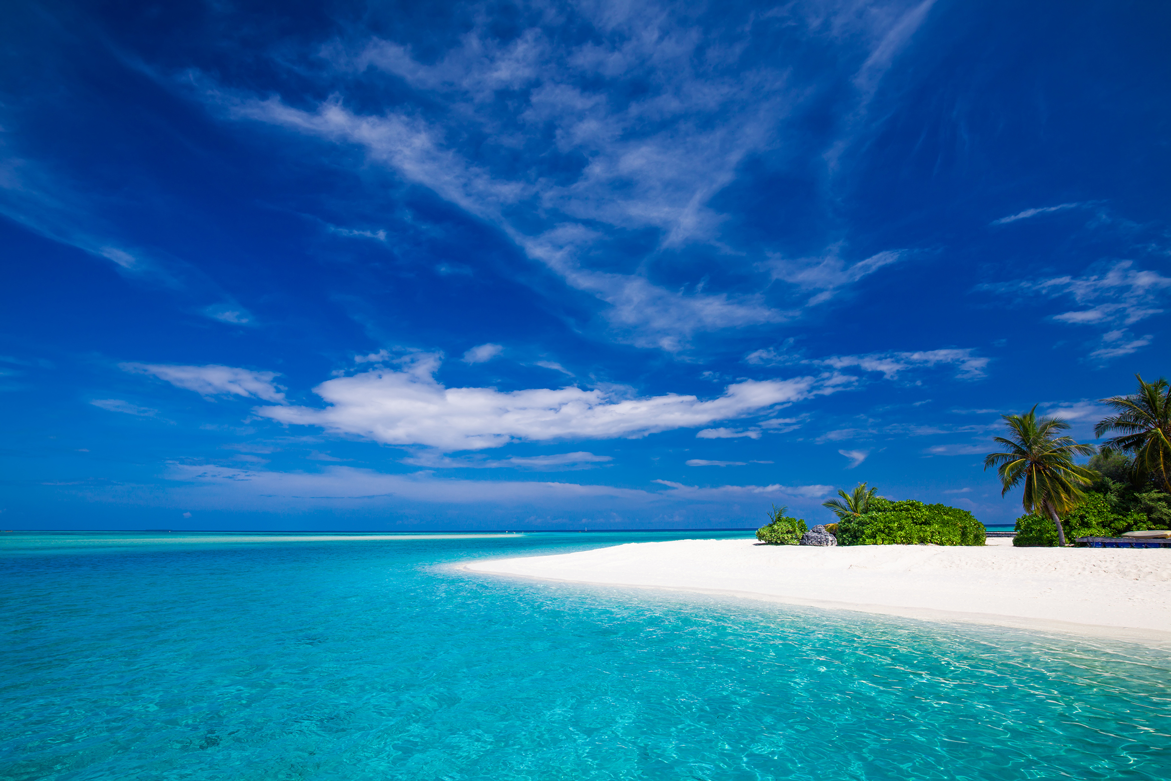 Freedive Maldives header