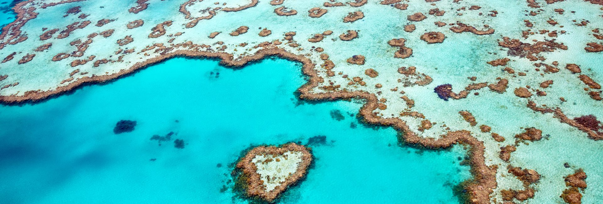 The Loved-Up Ocean