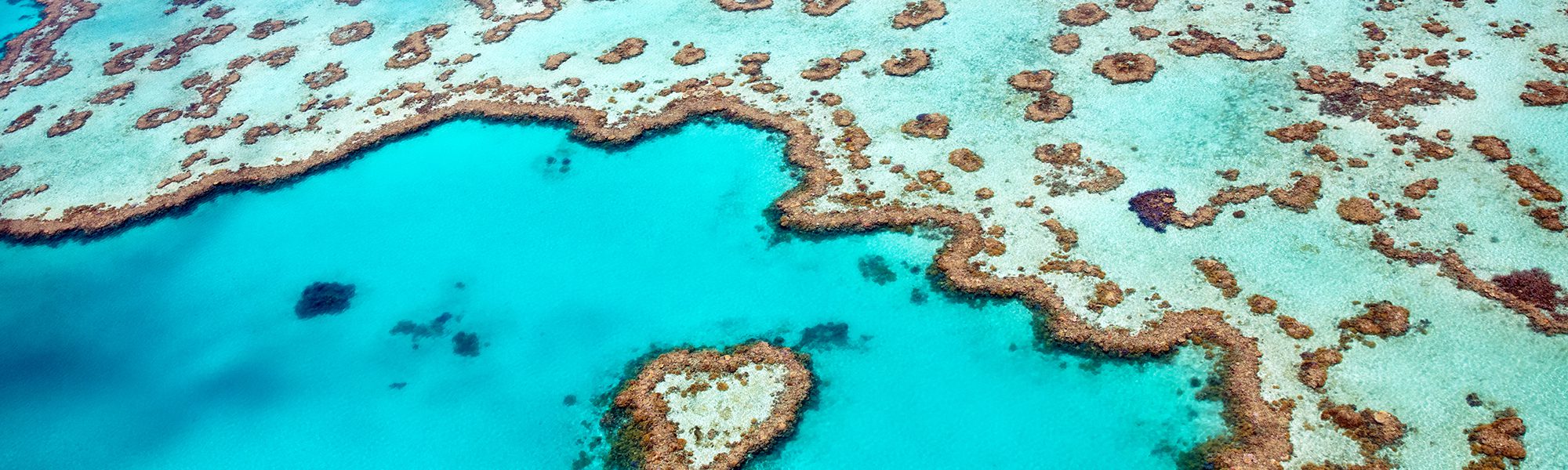 The Loved-Up Ocean