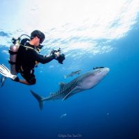 Alex Rendell - Thailand - PADI AmbassaDiver