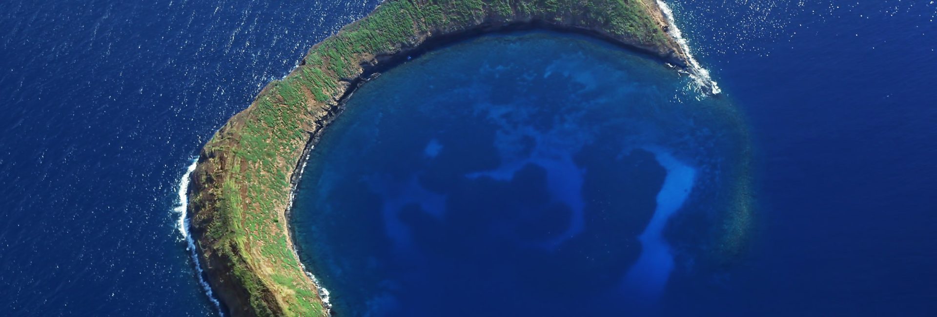 Diving Into a Volcano Crater in Molokini, Hawaii