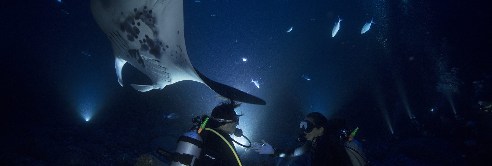 Should Night Diving Be on Your Bucket List?