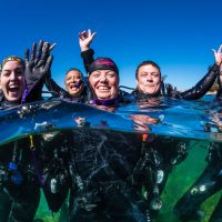 Bear Island operator - Australia - Happy Divers