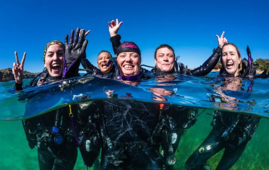 Bear Island - Australia - Happy Divers