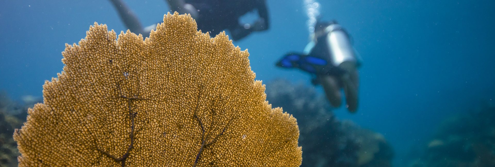 How to Create the Right Mindset to Start Your Diving Adventure