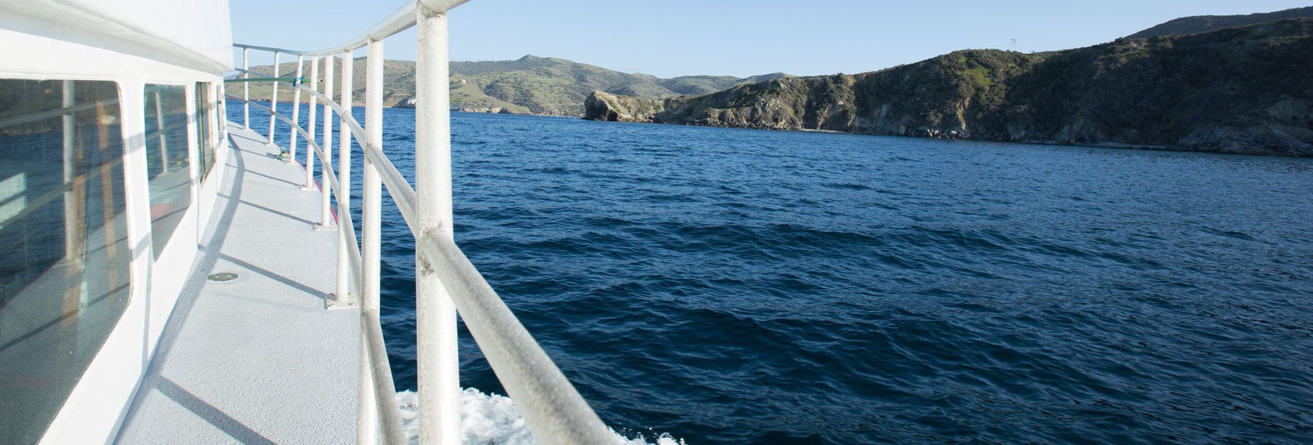 Bring the Ocean to Your Next Zoom Meeting or Hangout