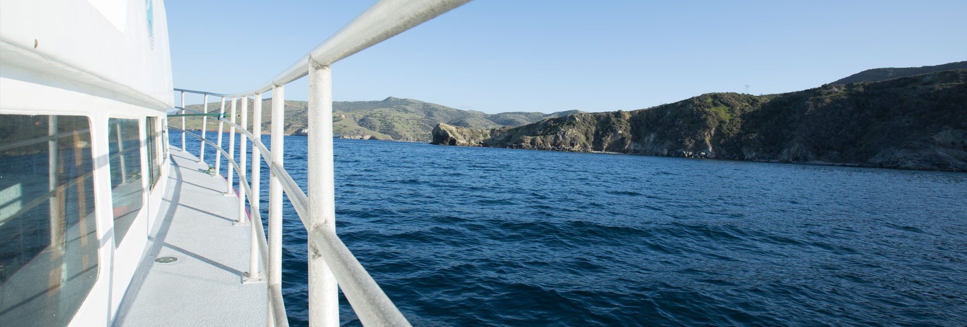 Porta l’oceano nel tuo prossimo incontro su Zoom