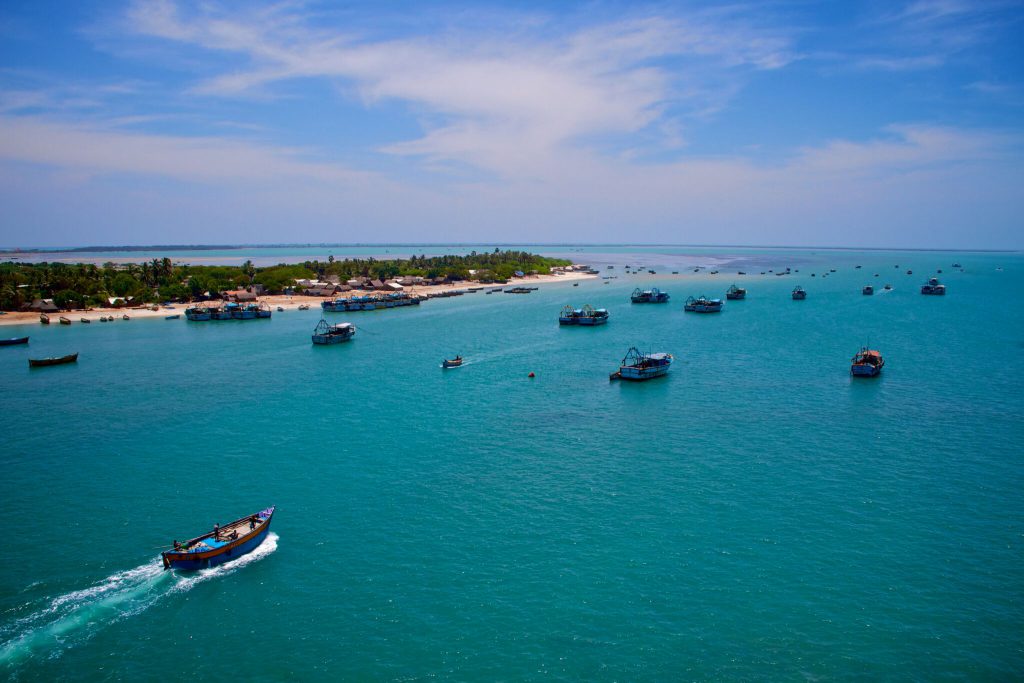 Diving Palk Bay in India’s Deep South