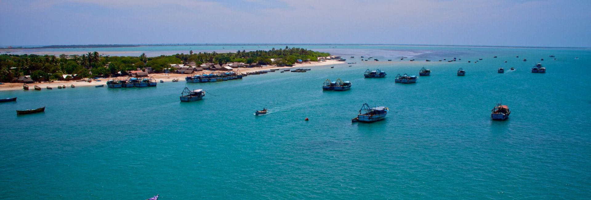 Diving Palk Bay in India’s Deep South