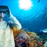 Virtual dive adventure