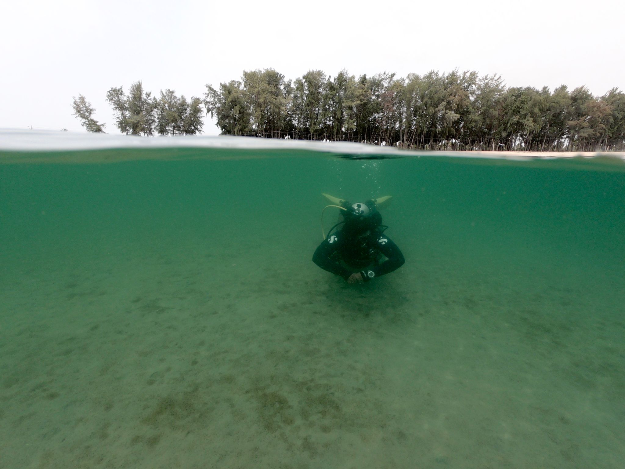 India - underwater - scuba diving - ocean