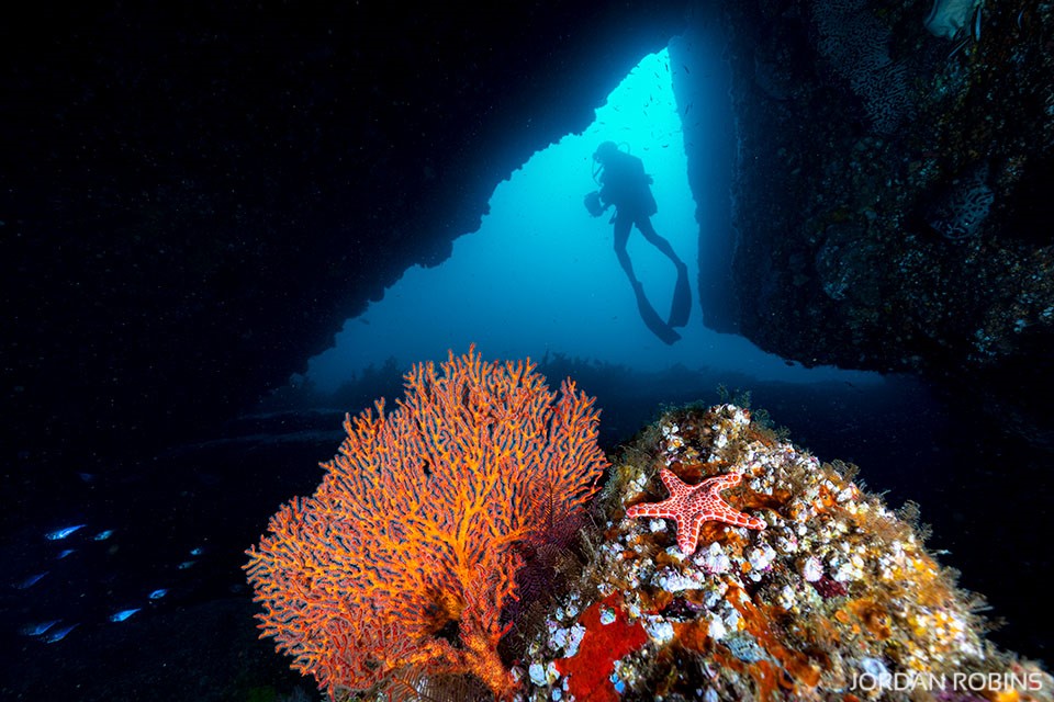 Jervis Bay - Underwater - Coral - Cave- Australia - Coastline