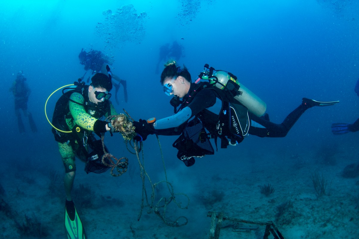 DiveAgainstDebris_RainbowReef