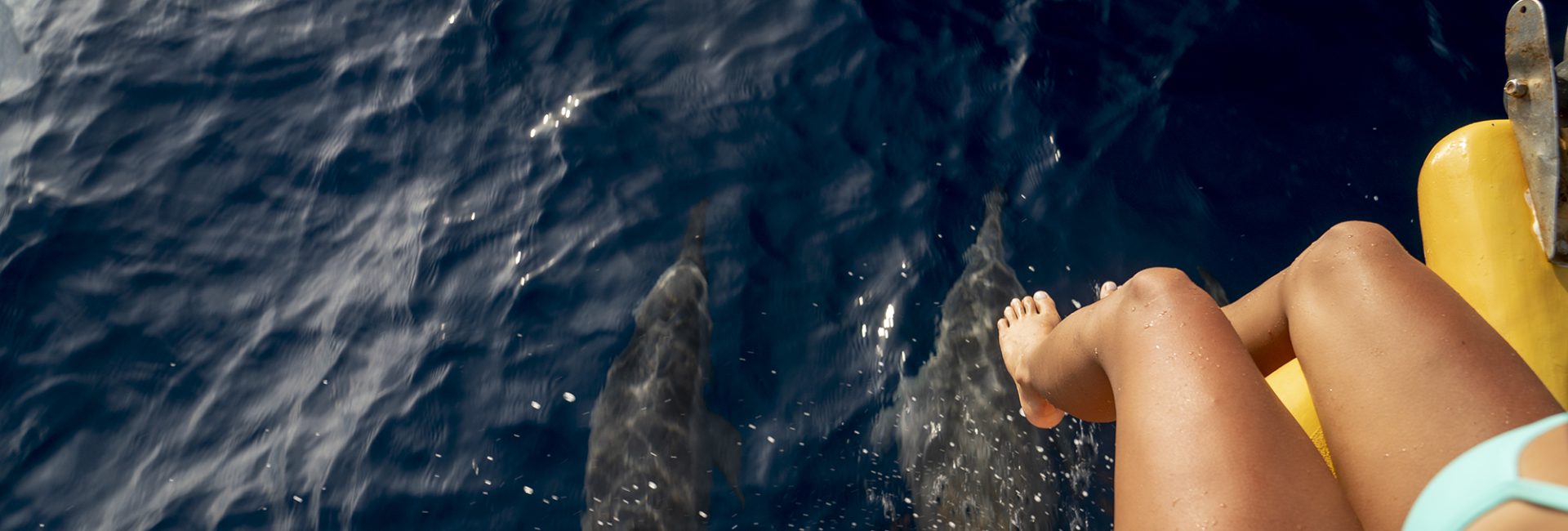 A Month By Month Guide to Saving the Ocean 