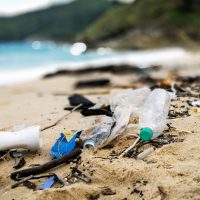 Plastic Marine Debris is commonly found on beaches around the world.