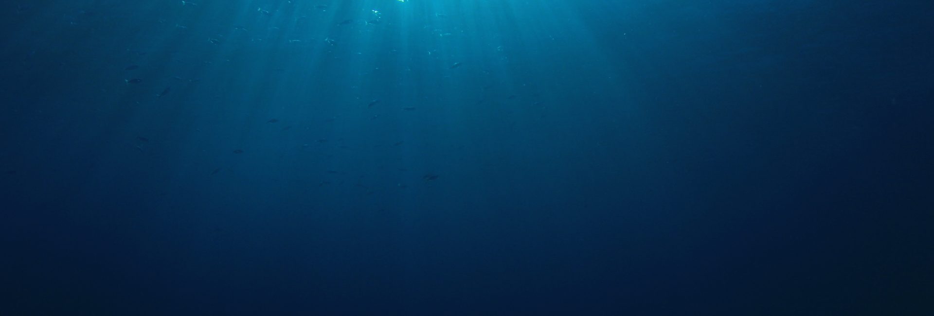 A PADI Master Instructor’s Mission with NASA