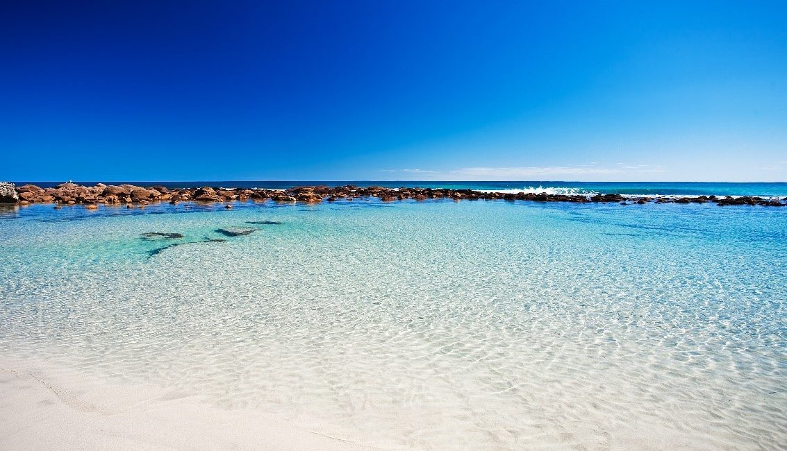 7 Top Jetty, Reef and Wreck Dives in South Australia