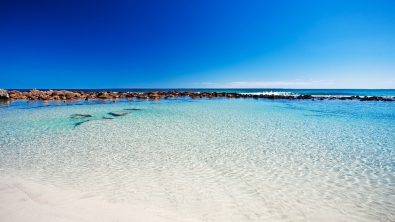 South Australia - White Sand - Beach - Water