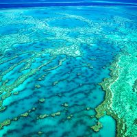 Great Barrier Reef - Australia - Queensland - Coral Reef