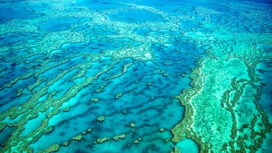 Great Barrier Reef - Australia - Queensland - Coral Reef