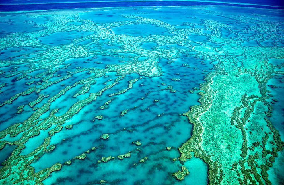 4 Reasons to Dive Locally in Australia and Your Guide to the Best Local Dive Sites