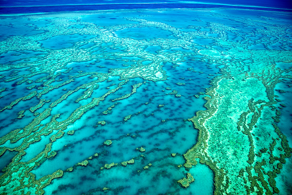 Great Barrier Reef - Australia - Queensland - Coral Reef