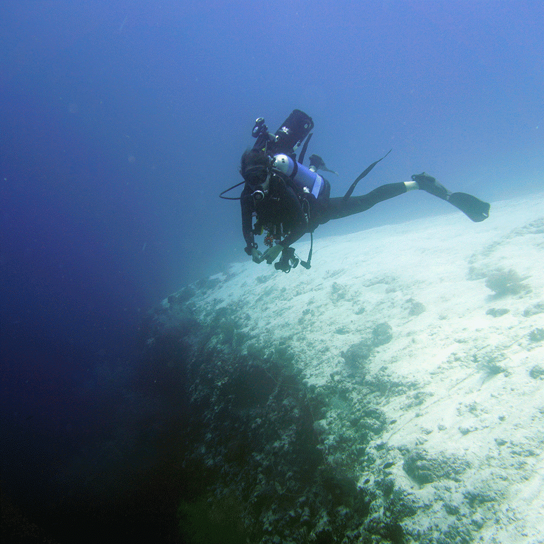 Isolation in Paradise - Philippines - underwater - scuba diver