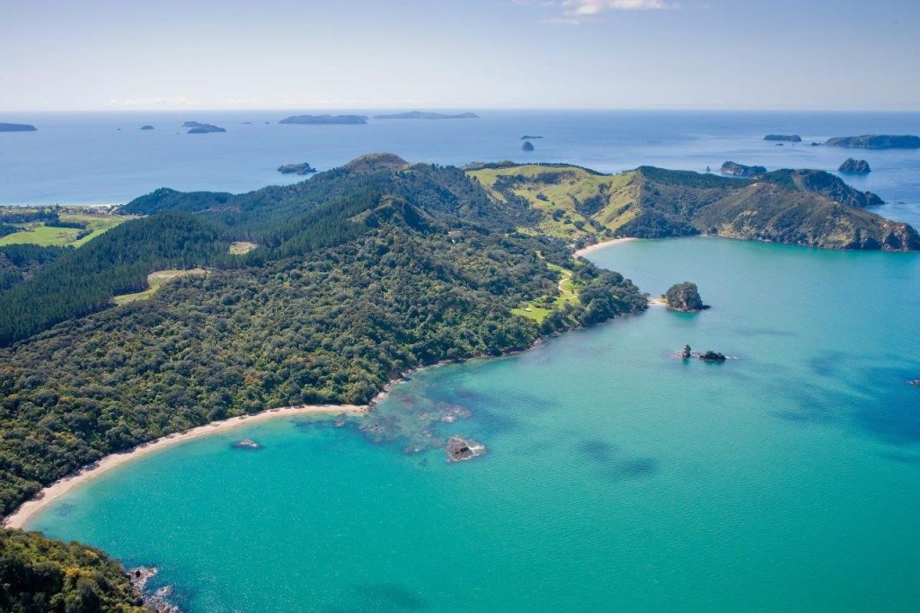 New Zealand Diving Calendar: Hotspots for All Year Round